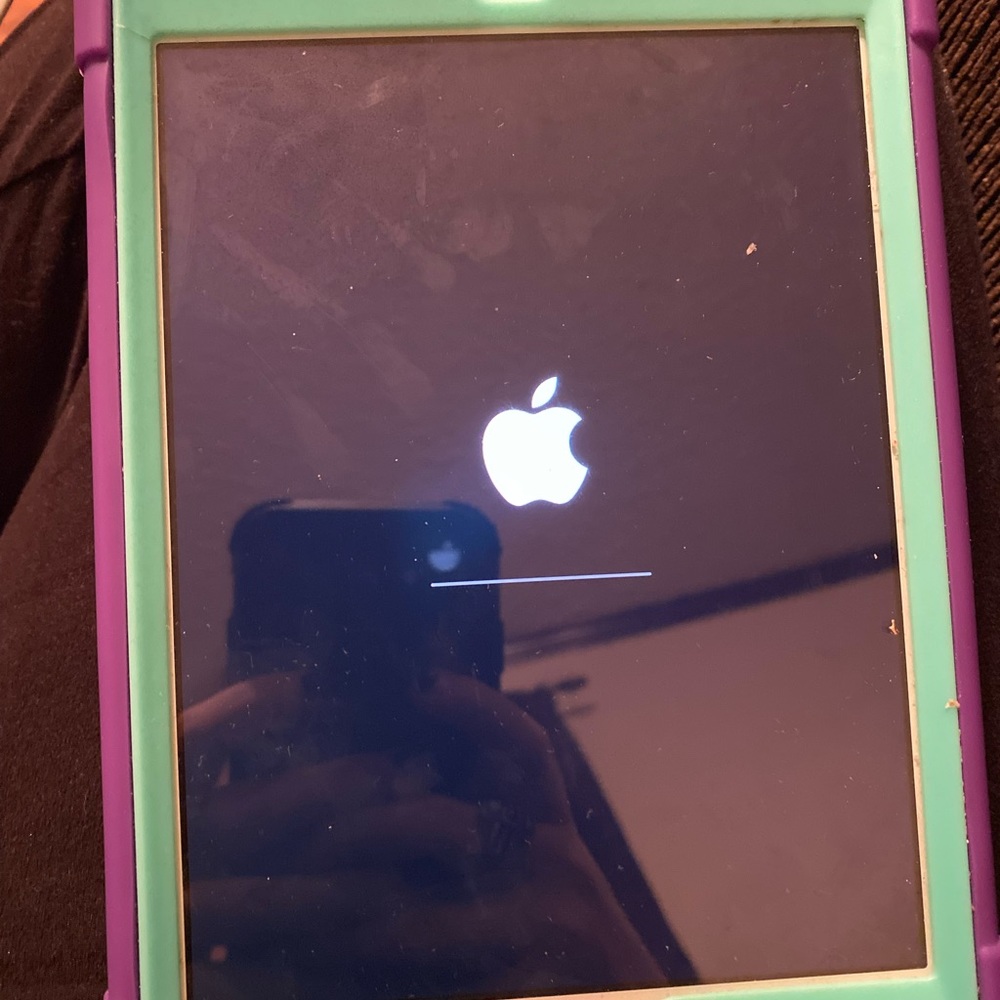 SOLD iPad mini2